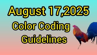 August 17,2025 Color Coding guidelines.