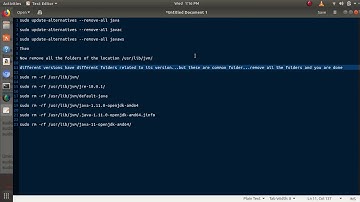 Remove java Completely  from Ubuntu 18.04 LTS