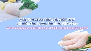 VASEP Highlight - T5/2023: XK cá tra 4 tháng đầu năm 2023 ghi nhận tăng trưởng âm nhiều thị trường