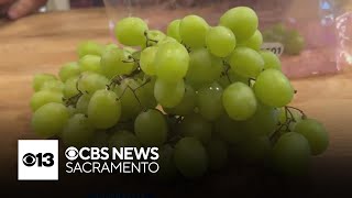 Cotton candy grapes | Lunch Break with Michael Marks
