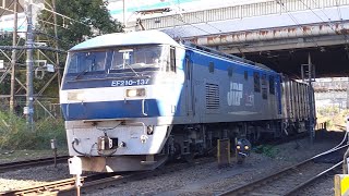 【岡桃】JR貨物 EF210-137号機+コキ25B 岡A2仕業[1093レ] 名古屋タ行 渡田踏切通過！