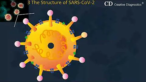 2019 Novel Coronavirus - SARS CoV 2 - DayDayNews