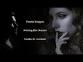 Nothing Else Matters - Phoebe Bridgers (tradus în română) @CristinaCosma