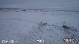 Grand Forks County, ND Online Land Auction - 163AC 02/11/2020