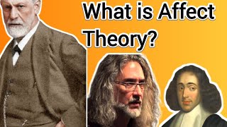 What is Affect Theory?