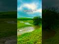 Beautiful Dua рџ ІрџЏ рџ ќ Use рџЋ Egzonibrahimi Dua Shorts Shortsfeed Beautiful Islamicprayer Allah Fy Beautiful Dua рџ ІрџЏ рџ ќ Use рџЋ Egzonibrahimi Dua Shorts Shortsfeed Beautiful Islamicprayer Allah Fy