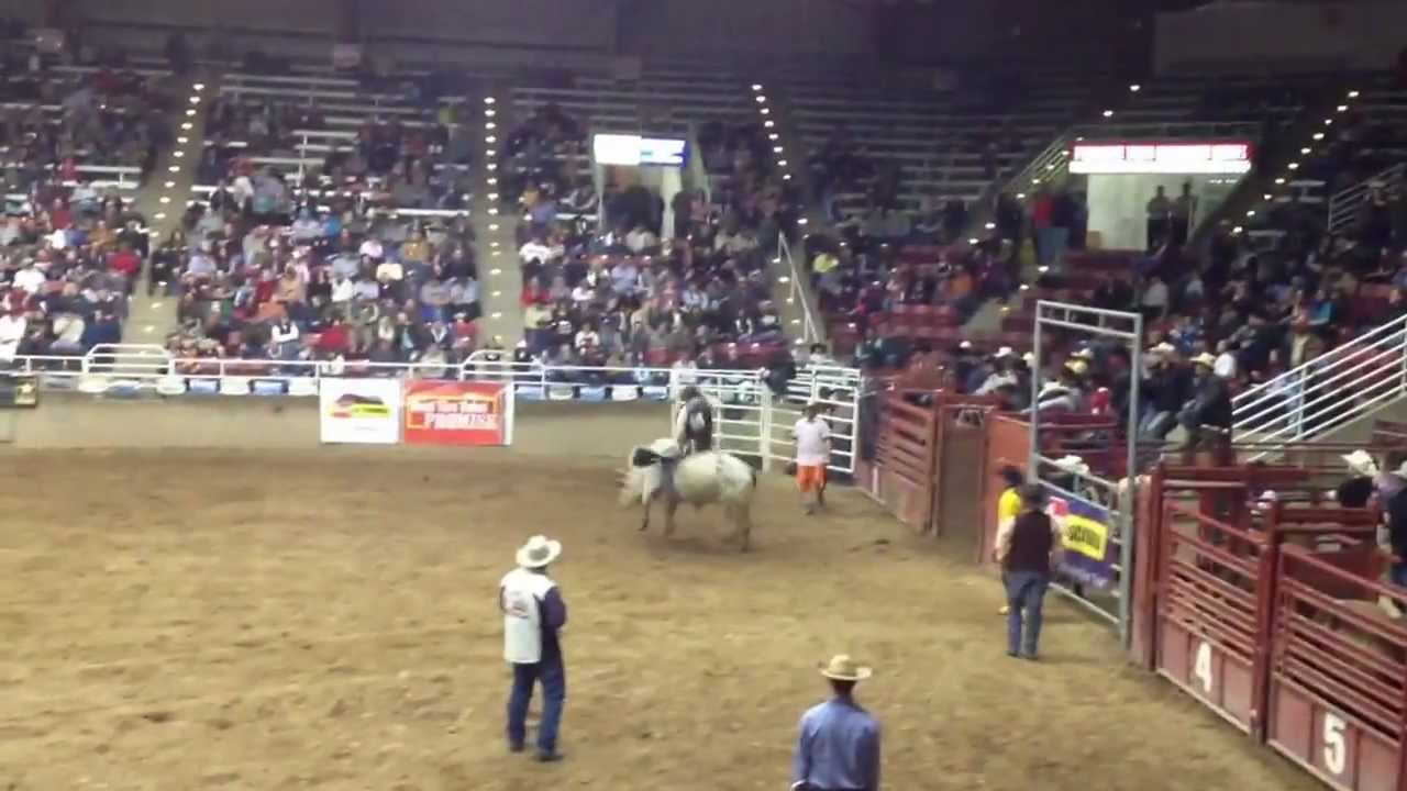 Mason Clements Bull Wars Golden Spike Arena New Years Eve YouTube Mason Clements Bull Wars Golden Spike Arena New Years Eve YouTube