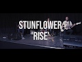 Stunflower live  rise