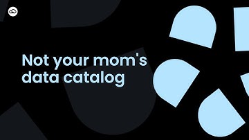 Why DataGalaxy is not your mom