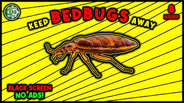 ANTI BEDBUGS REPELLENT SOUND ⛔🐞 KEEP BED BUGS AWAY - ULTRASONIC SOUND