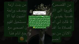 قصة عن عجائب سورة البقرة