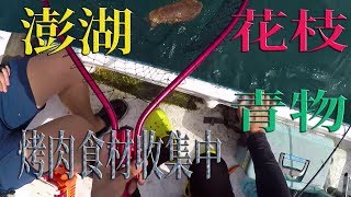 爆釣花枝丸！終於搞到目標青物！釣魚人的中秋節怎麼過？（22 ...