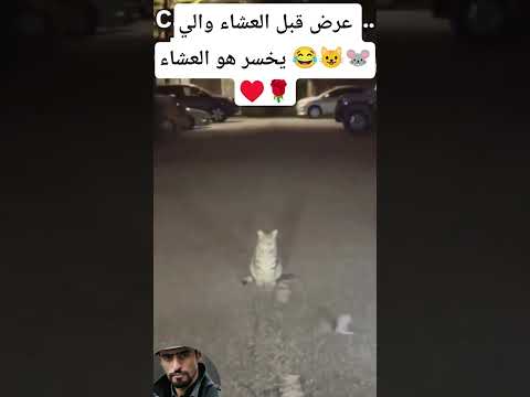 العشاء امامه ولكن حابب ينتهي الخلاف