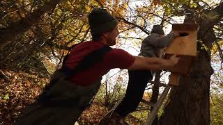 Wetlands Of The Wolastoq