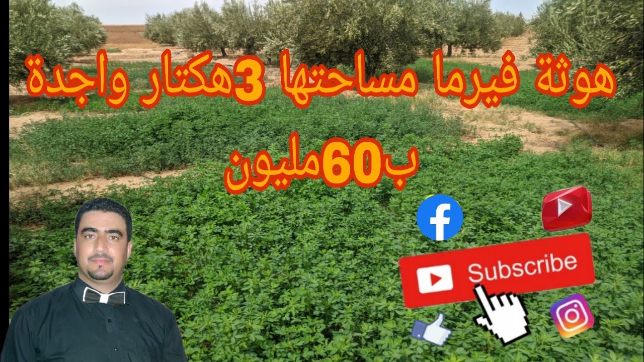 🛑هدا ليس متوفرا انه مباع 🔴هوثة فيرما للبيع مساحتها 3هكتار بها 2آبار  وساريج او3كوارة