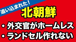 【西岡力】最新報告！北は死の淵まで追い込まれている！！【WiLL増刊号＃415】