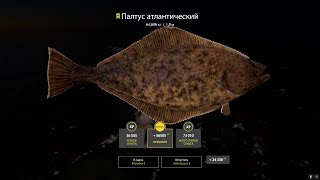 Russian Fishing 4; Палтус 60 кг, Taiga 40