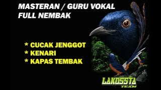 MASTERAN ATAU GURU VOKAL UNTUK MURAI BATU #muraibatu #cucakjenggot #kenari #kapastembak #kacer