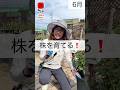 株を育てる　#相原バラ園 #バラ #バラ園 #バラ栽培