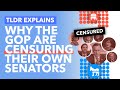 Censuring 'Trump Traitors': Why are the Republicans Condemning their Own Senators - TLDR News