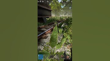 Rust Trains are Dangerous #playrust #rustmemes #rustgame #rusttok #rustpc #rustclips