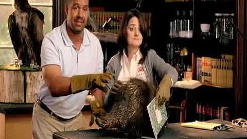 youtube   farmers insurance    critters  universit...