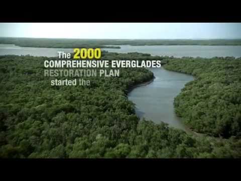 Everglades Foundation 6th Annual Benefit at The Br...