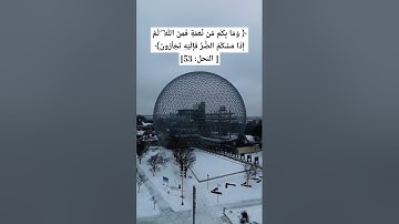 #تلاوة_هادئة تريح القلوب من سورة #النحل  للقارئ #عبدالرحمن_مسعد #quran #اكسبلور #nature #راحة_نفسية