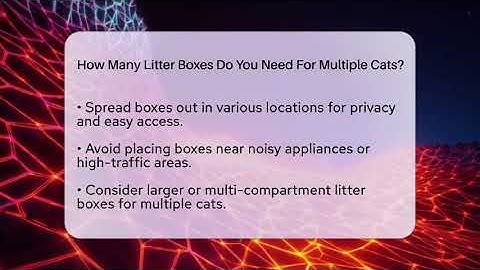 How Many Litter Boxes Do You Need For Multiple Cats? - Happy Cat Handbook