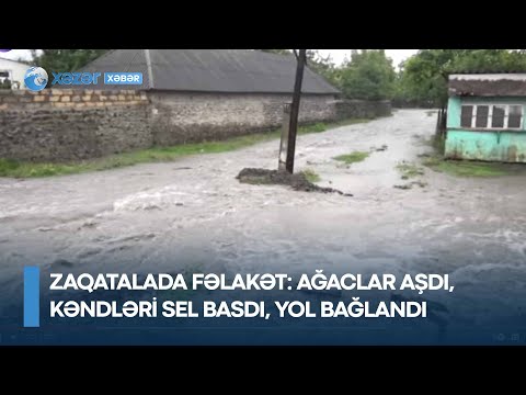 Zaqatalada FƏLAKƏT: ağaclar aşdı, kəndləri sel basdı, yol bağlandı