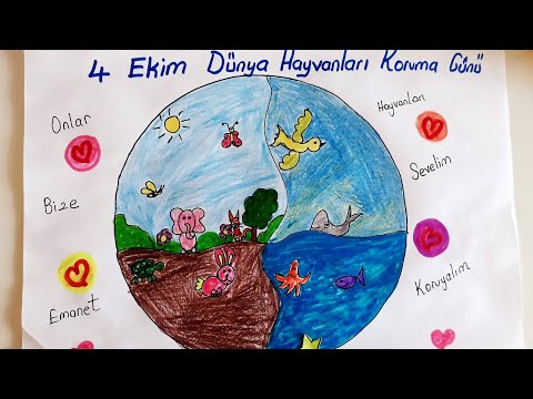 4 Ekim Hayvanları Koruma Günü resmi/Hayvanları Koruma Günü/World animal day