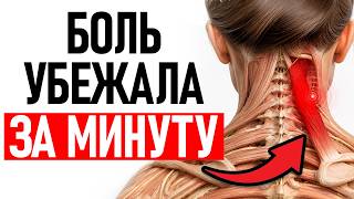 ЭТО упражнение УБИРАЕТ боль в шее за 3 недели! / Можно делать прямо на стуле