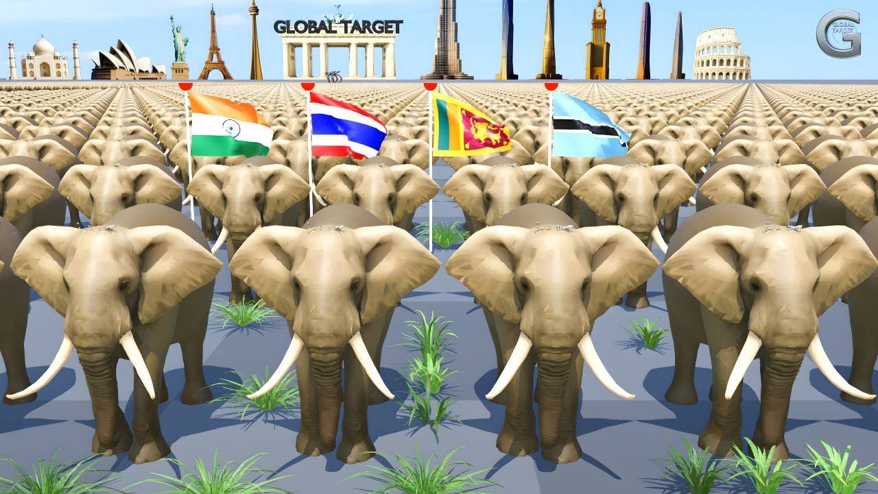 Elephant Population by Country 2025 | Comparison Video