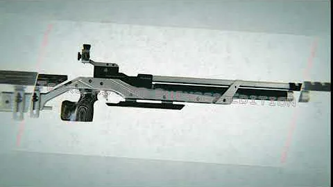 Tesro Match Luftgewehr RS100 Buinger Edition 2.0