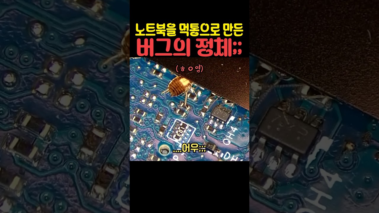 노트북을 먹통으로 만든 버그의 정체 썸네일