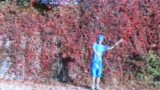 Video Placeholder