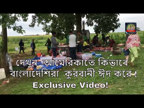 ভিডিও: দ্য লিটল মারমেইড রাইড - ডিজনি আকর্ষণের পর্যালোচনা