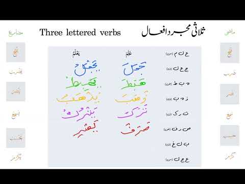 Arabic Grammar Revision 043 Three Lettered Verbs Practice ابواب ثلاثی مجرد