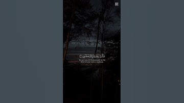 #سورة_القلم #قرآن #المصحف 🌸🌚