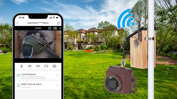 Long Range WiFi Birdbox Camera