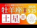 【徹底解説】牡羊座土星講座🪐12星座別の土星のテーマとは🔥自立と挑戦が促される!星読み&カードリーディング👼サポートするハーブやアロマ🌿