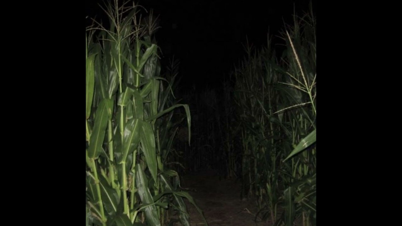 [free] sematary + ghost mountain + grave house haunted mound type beat - 