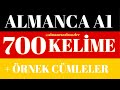 Goethe Zertifikat A1 Wortliste 700 Kelime Ve Örnek Cümleler 