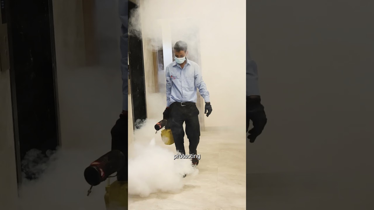 🚫🦟 One Fogging Session Can Make a Big Difference! 💨