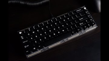 Portico + Alpaca v2 typing test