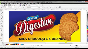 PRODUCT PACKAGING DESIGN | How To Create Biscuit Product Packaging