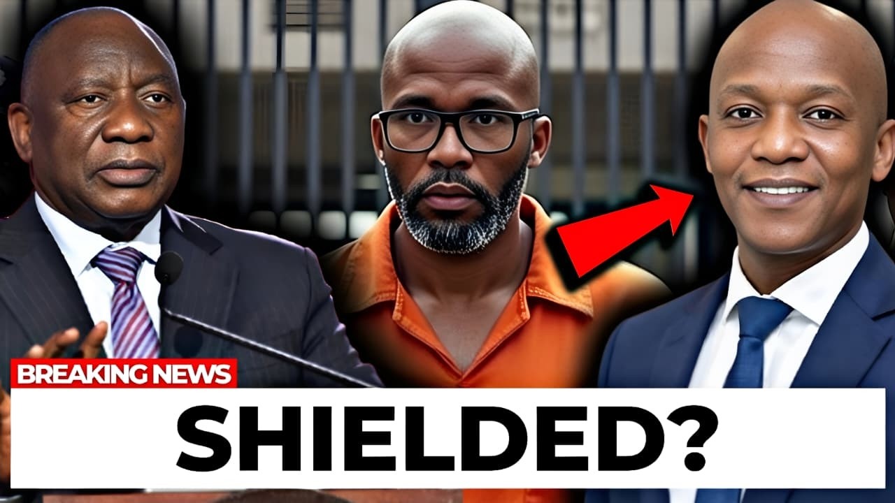 Why Was Cat Matlala Transferred? The Ramaphosa–Maumela Connection