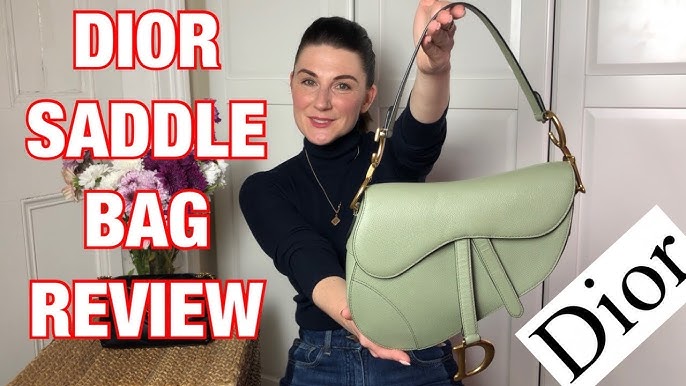 Lady Dior vs Saddle Bag: Which Dior bag should you buy? 