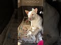 高木が居ないとね〜なかなか出てくれない