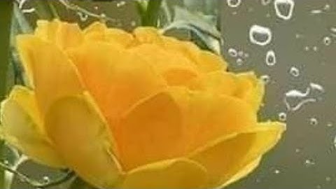 ص (29) سورة البقرة - بصوت القارئ عبد الله أحمد الخلف حفظه الله تعالى ...